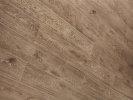 D4194 Camel