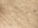 D4198 Lion